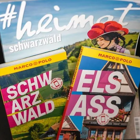 Heimbi-home No 1 4-6pers Europapark E Ladestation * Schwanau